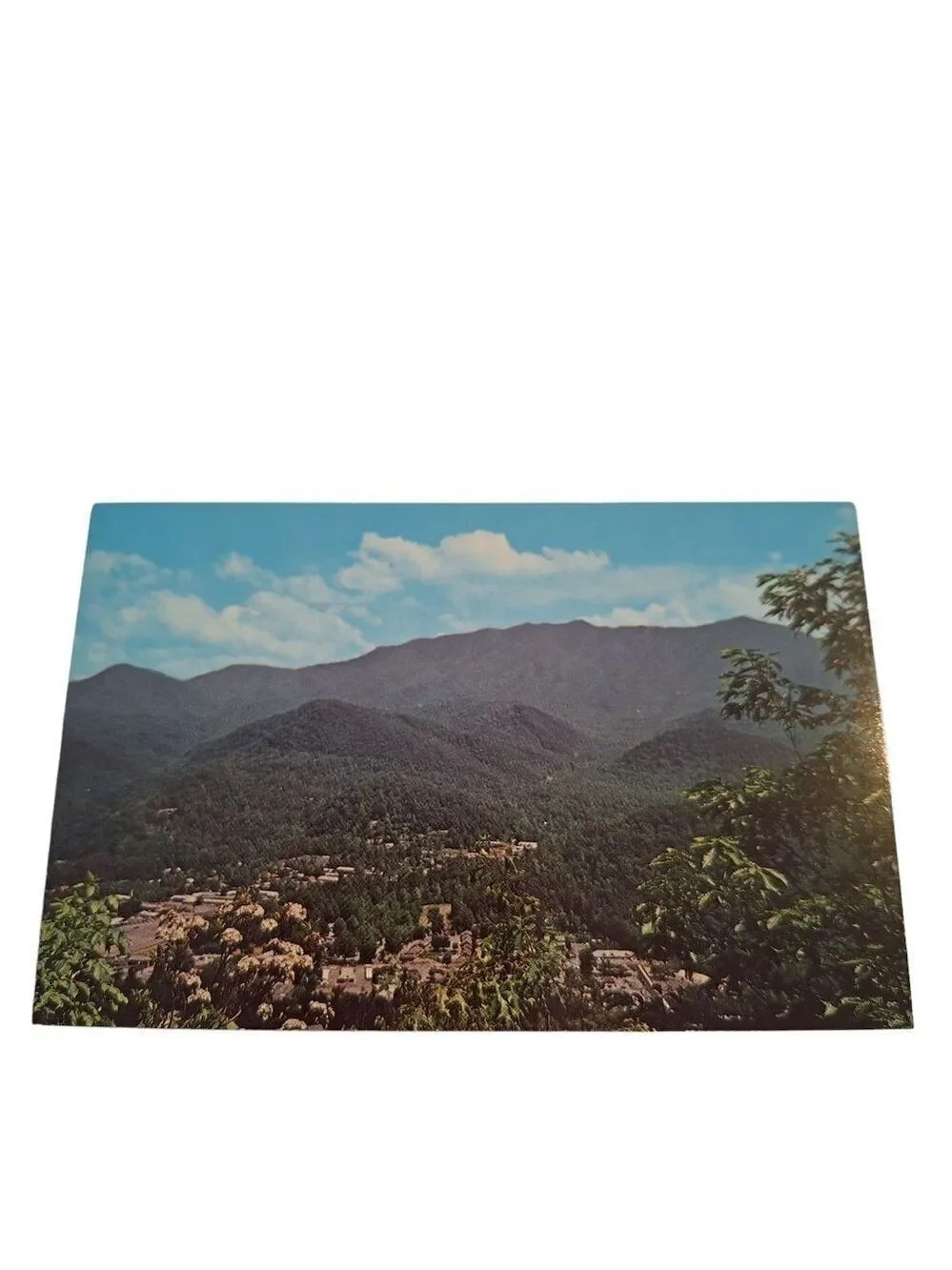 Gatlinburg Bypass Great Smoky Mountains National Park Postcard